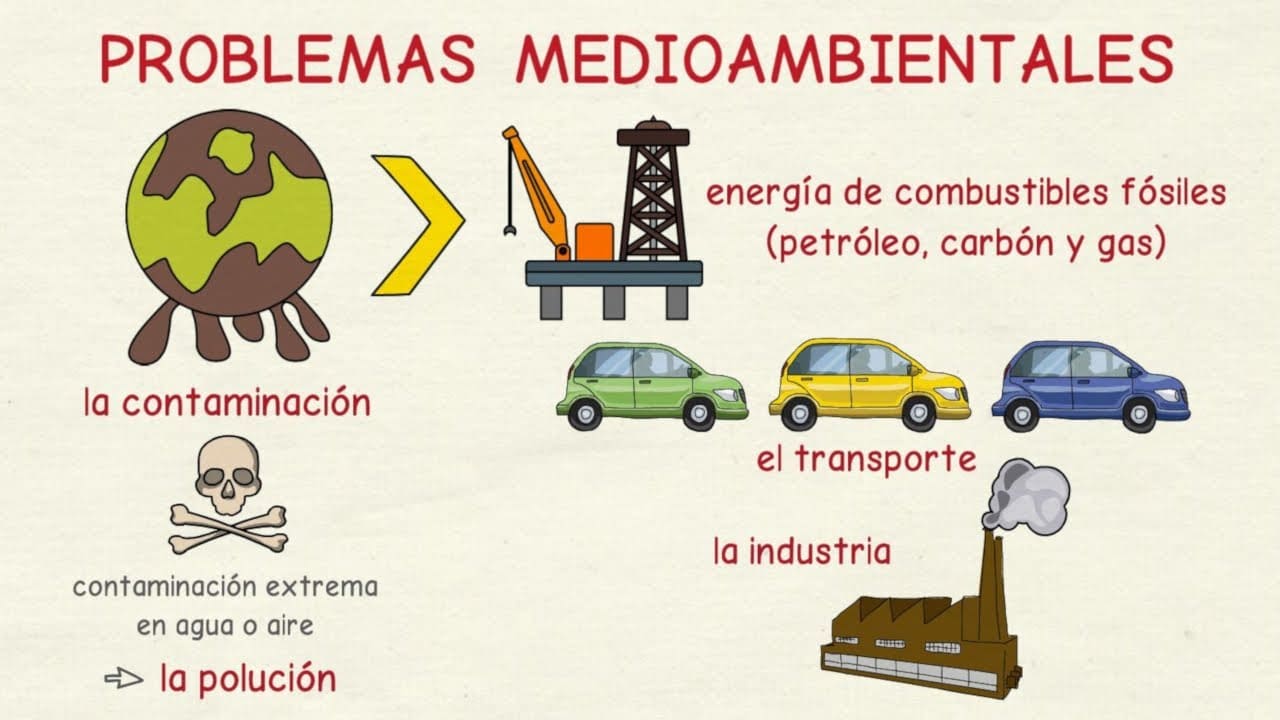 Environment En Español