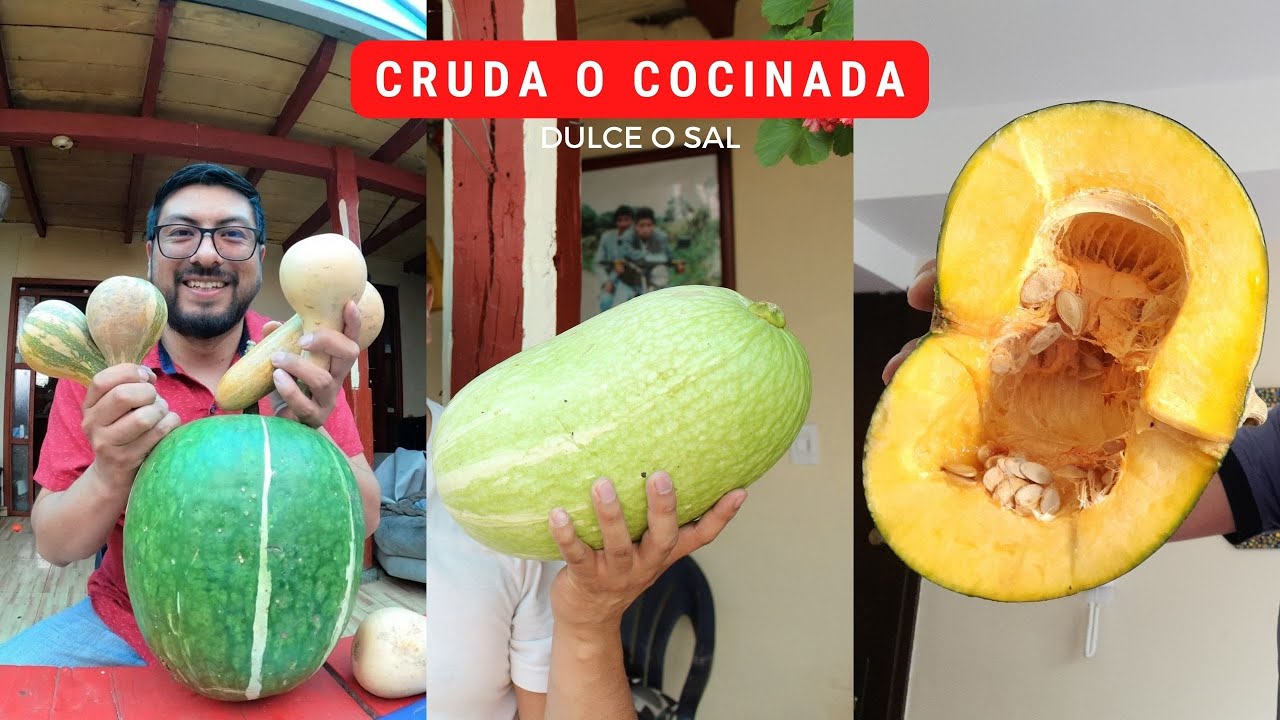 La Calabaza Es Fruta O Verdura