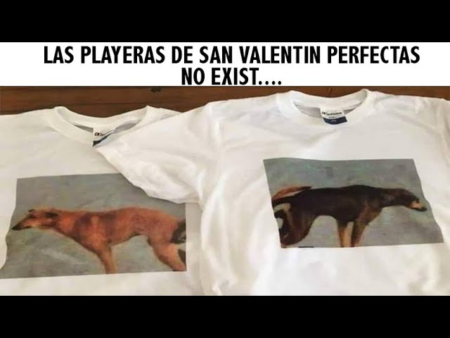 Memes De San Valentín Graciosos