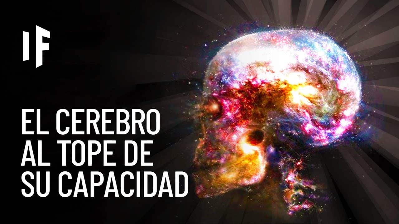 Que Porcentaje De Nuestro Cerebro Usamos