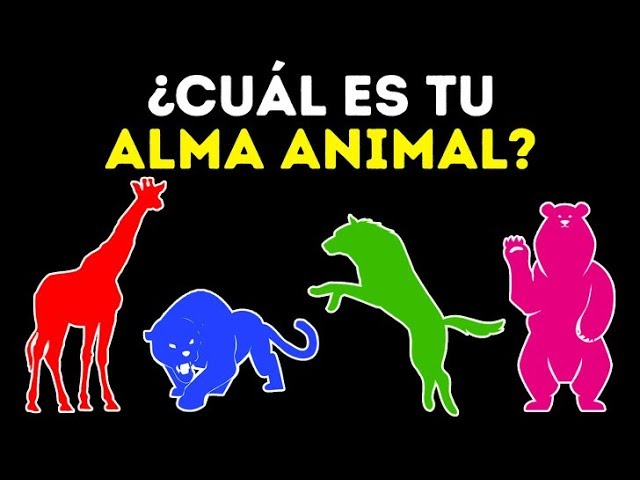 Test Que Animal Eres