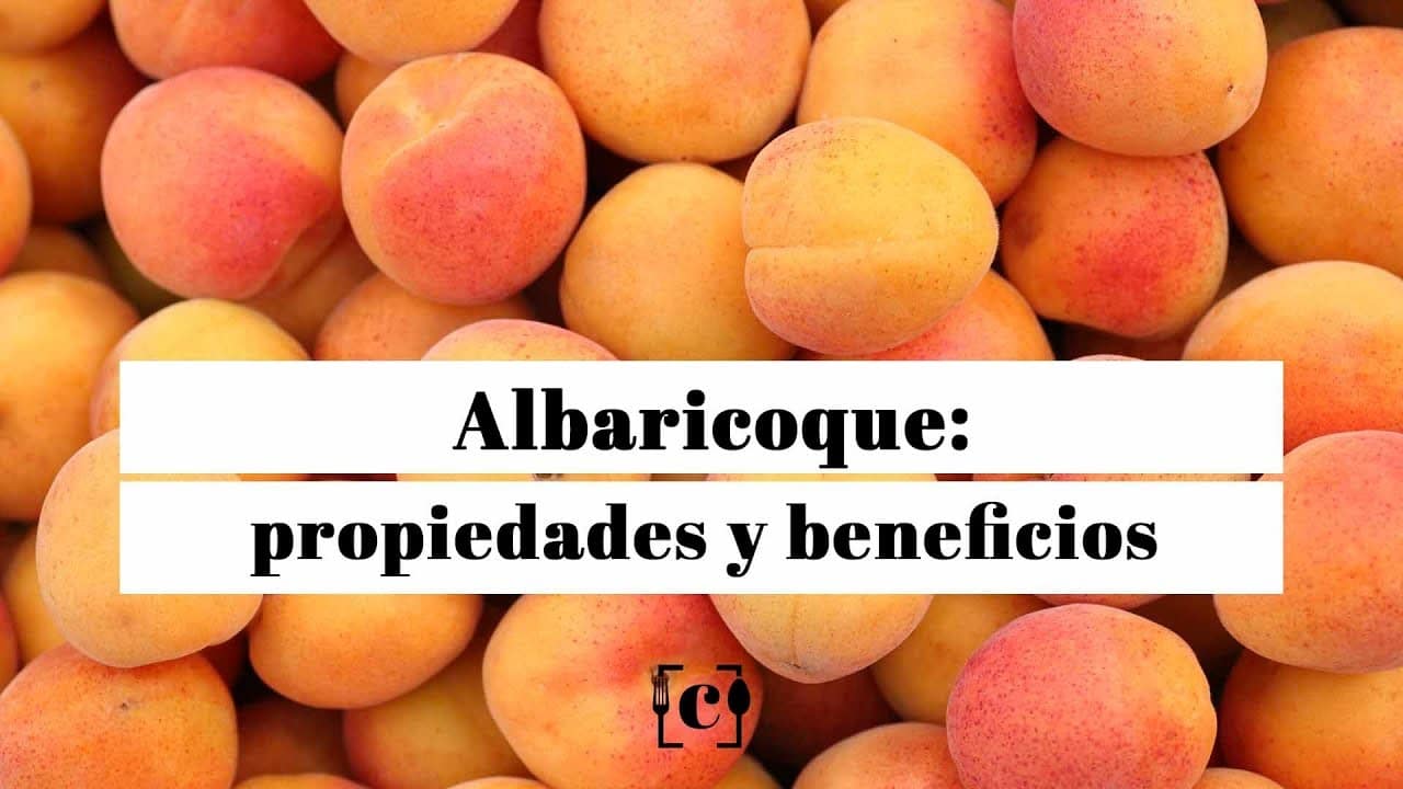 Albaricoque