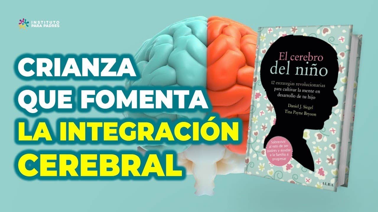 El Cerebro Del Niño Explicado A Los Padres Pdf