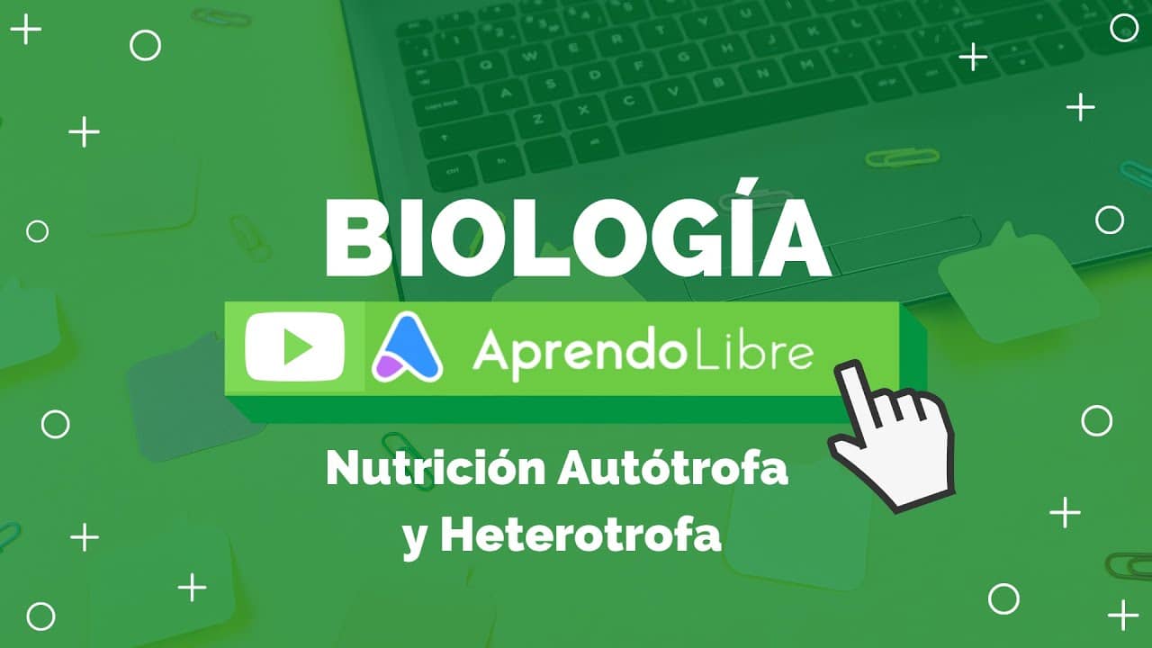 Nutrición Autótrofa Y Heterótrofa