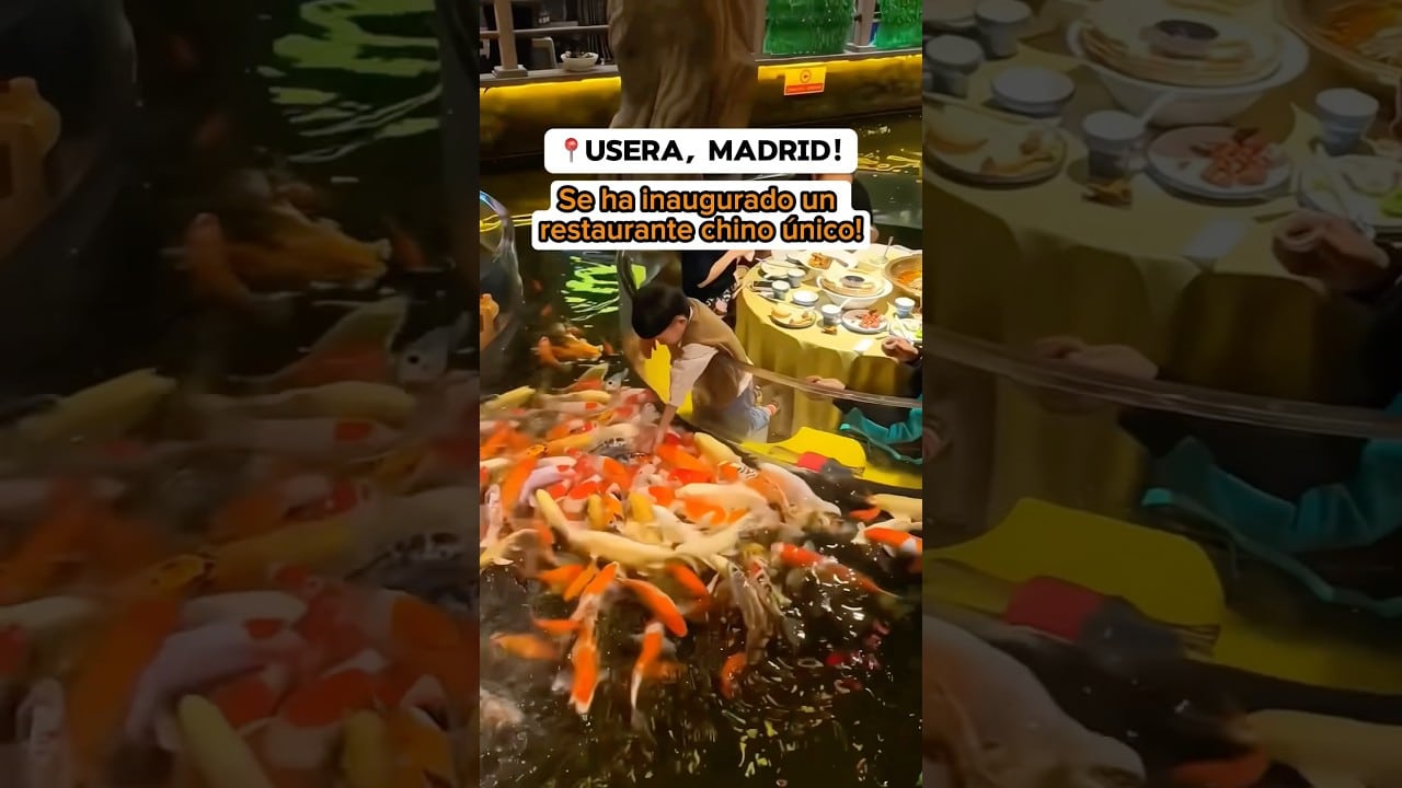 Restaurante Chino En Usera Con Peces