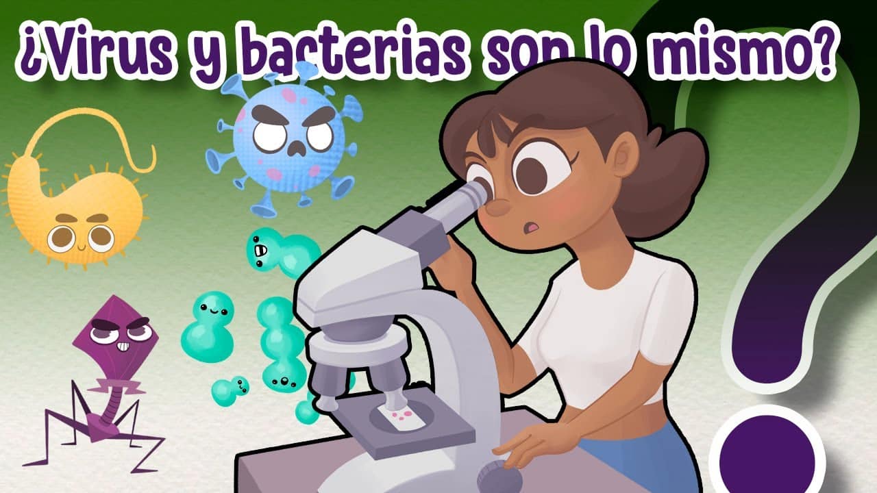 Todas Las Bacterias Producen Enfermedades