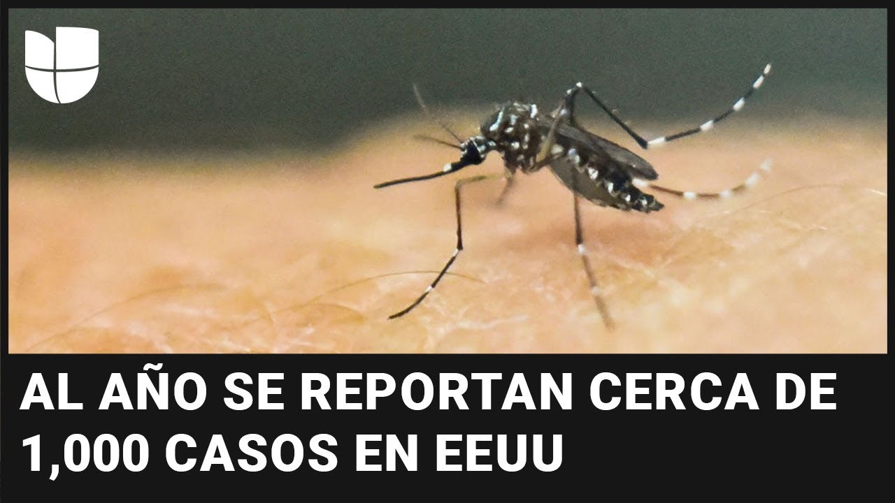 Virus Del Nilo Occidental